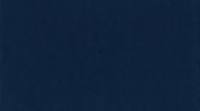 Codice colore: 4947 Nappa POL 4947