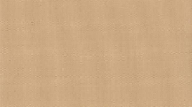 Codice colore: 2156 Vigogna 2156