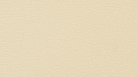 Codice colore: 2201 canyon 2201