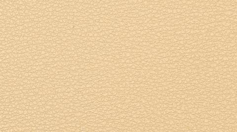 Codice colore: 2210 canyon 2210