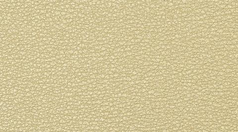 Codice colore: MET 9005 Canyon MET 9005