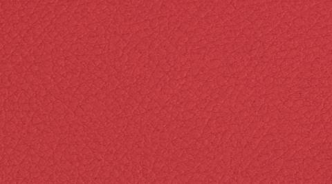 Codice colore: 667 Vega 667