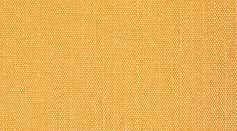 Codice colore: A31 Vigogna A31